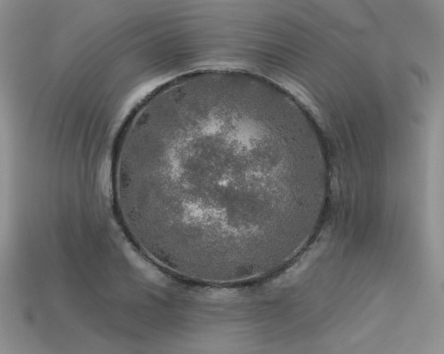 X0000113601030200909181347