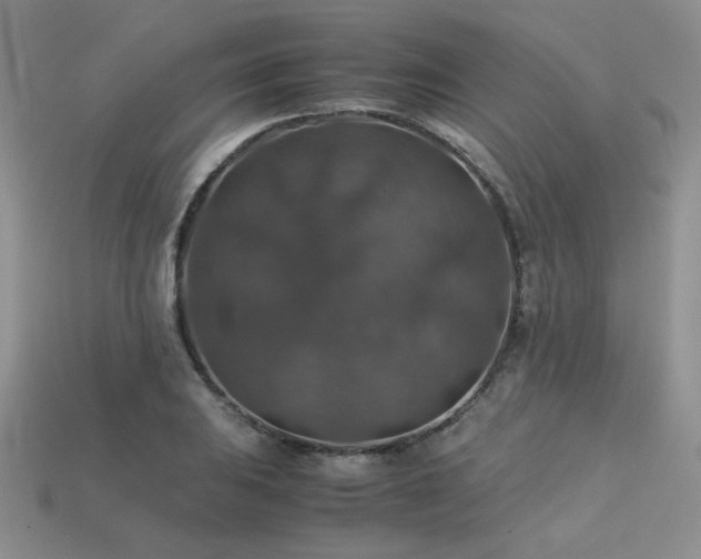 X0000113601031200909181347