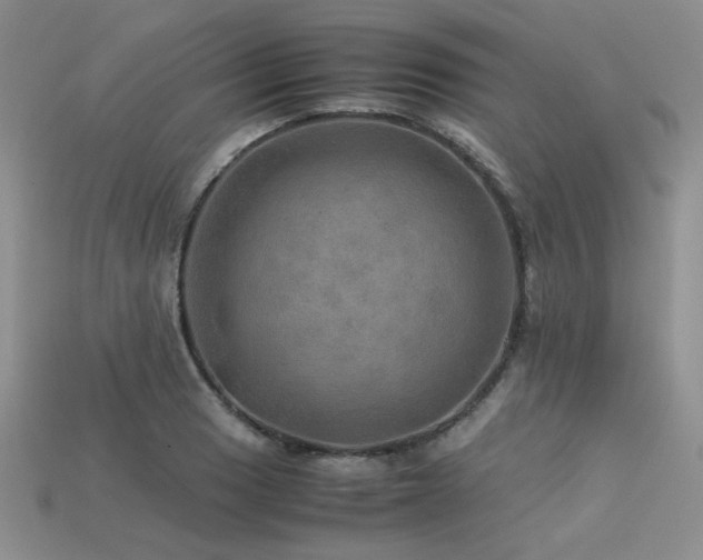 X0000113601033200909181347