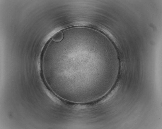 X0000113601034200909181347