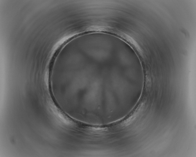 X0000113601035200909181347