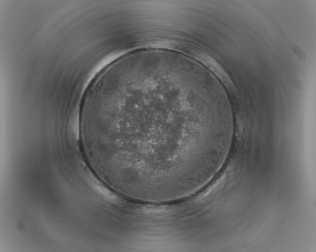 X0000113601036200909181347