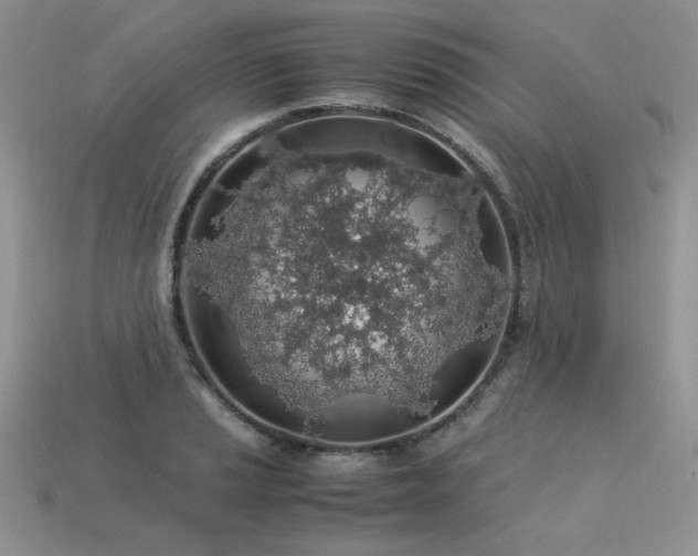 X0000113601037200909181347