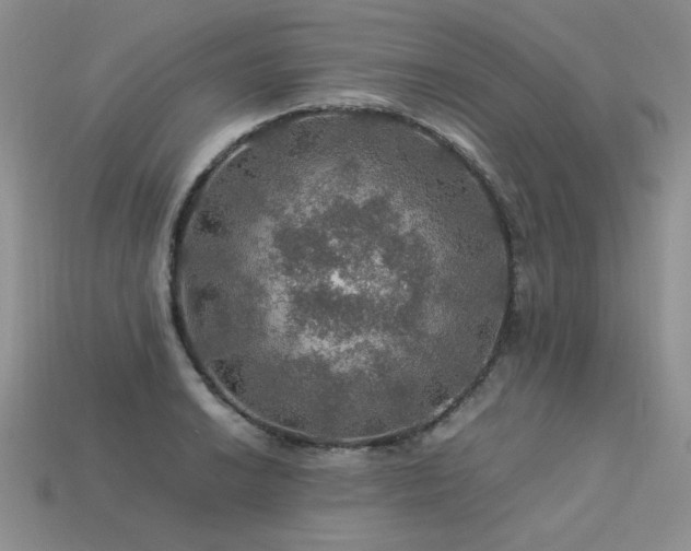 X0000113601038200909181347