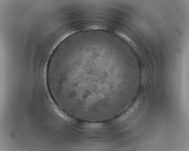 X0000113601039200909181348