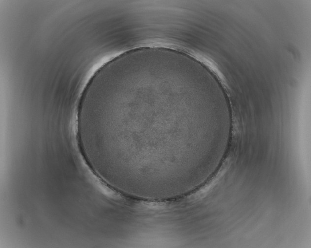 X0000113601040200909181348