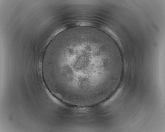 X0000113601041200909181348