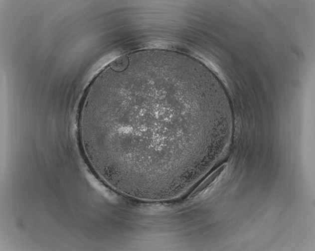 X0000113601042200909181348