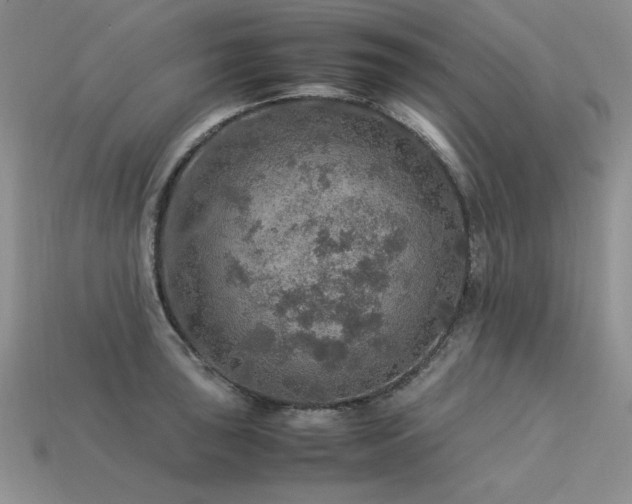 X0000113601043200909181348