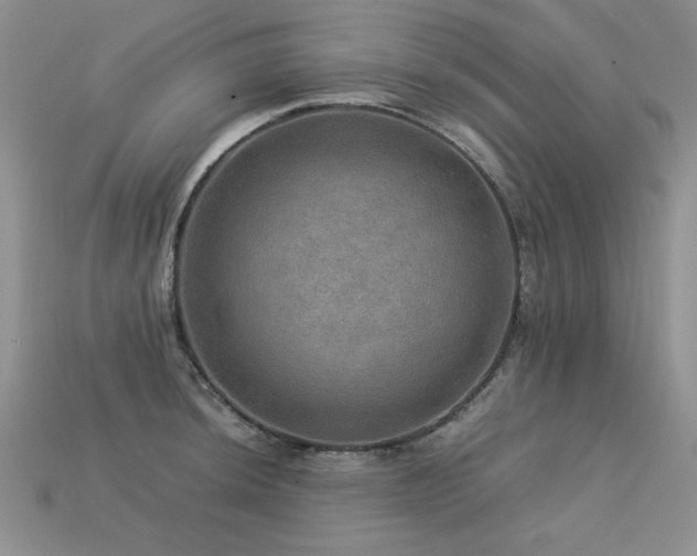 X0000113601044200909181348