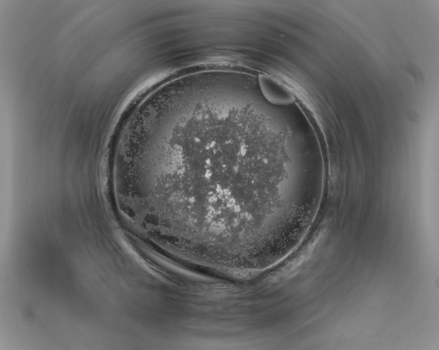 X0000113601045200909181348