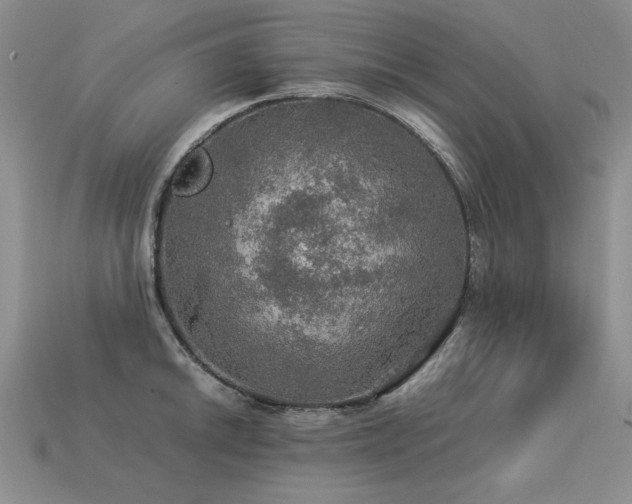 X0000113601046200909181348