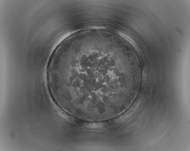 X0000113601047200909181348