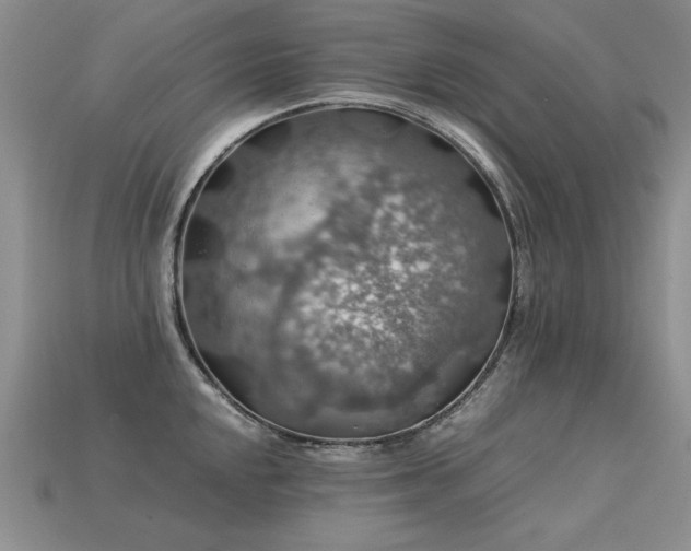 X0000113601048200909181348