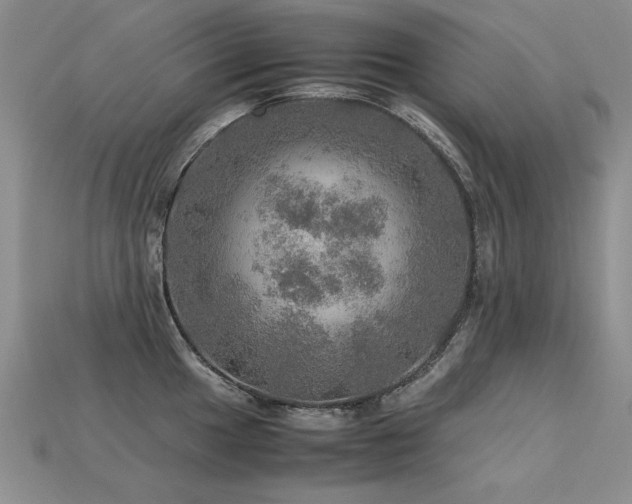 X0000113601049200909181348