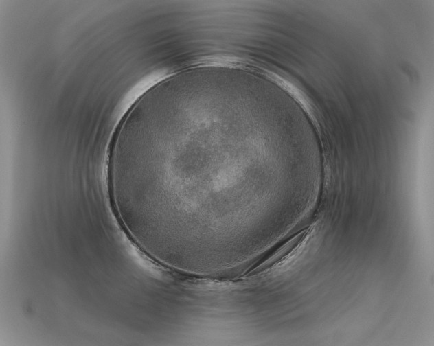 X0000113601050200909181348