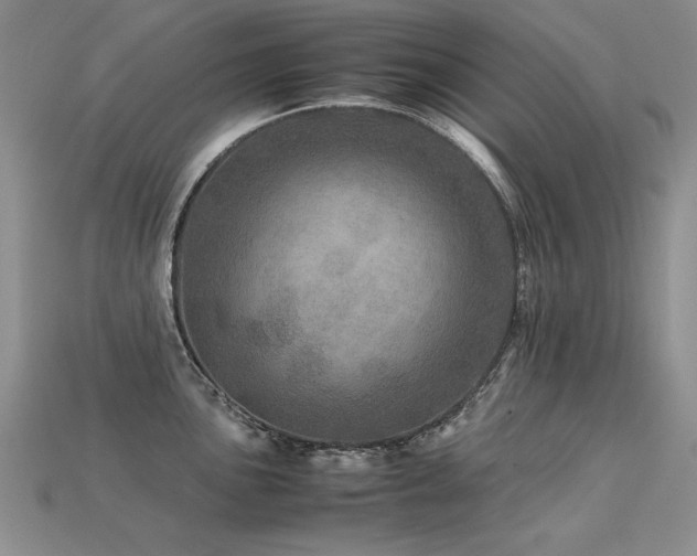 X0000113601051200909181348