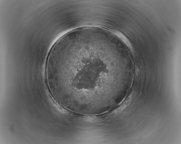 X0000113601052200909181348