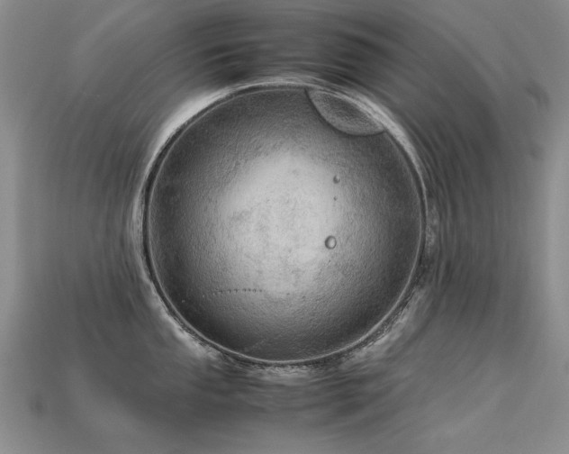 X0000113601053200909181348