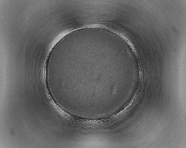 X0000113601054200909181348