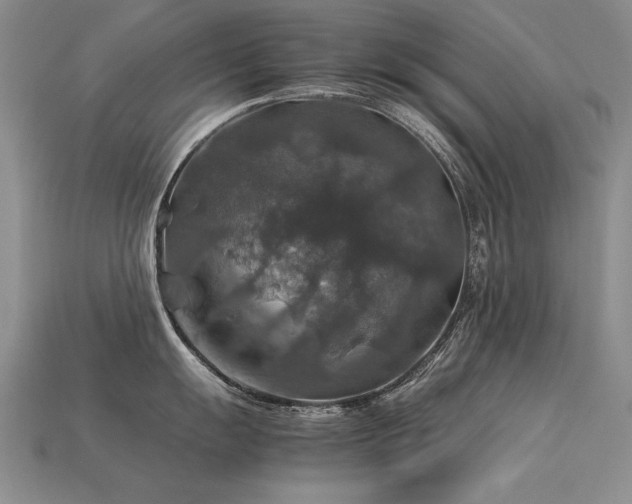 X0000113601055200909181348