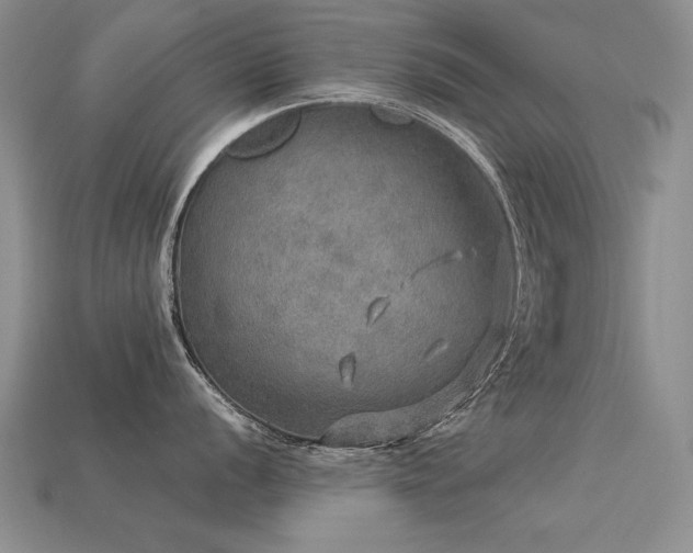 X0000113601056200909181348