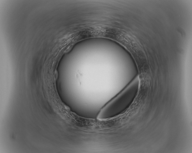 X0000113601057200909181347