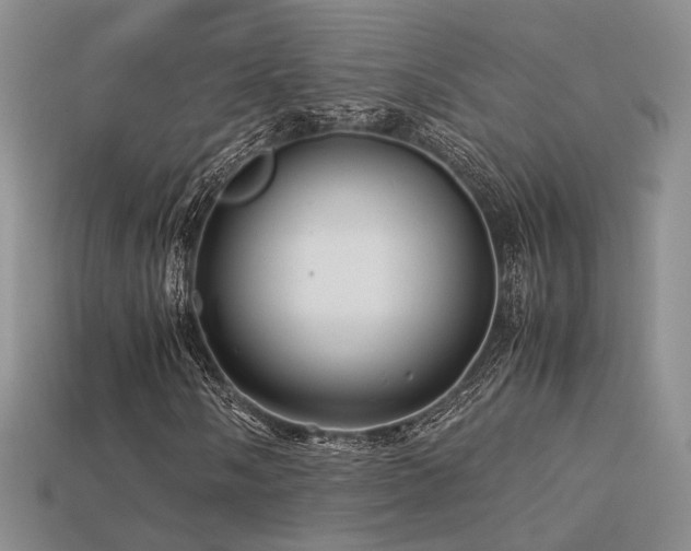 X0000113601058200909181347