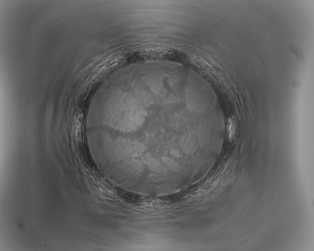 X0000113601059200909181347