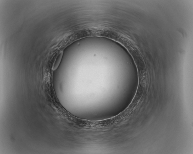 X0000113601061200909181347