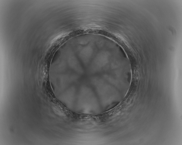 X0000113601063200909181347