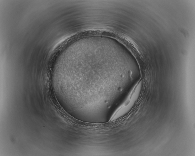 X0000113601064200909181347