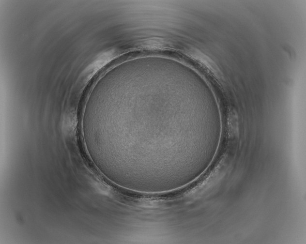 X0000113601065200909181347