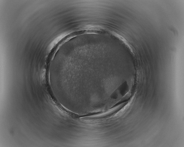 X0000113601066200909181347