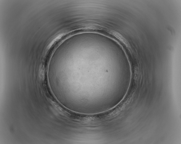 X0000113601067200909181347