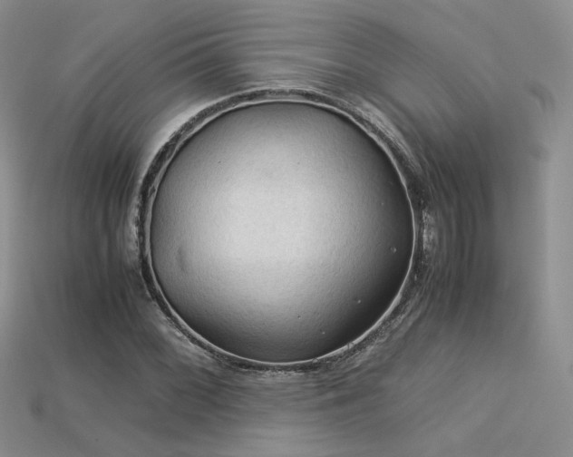 X0000113601068200909181347