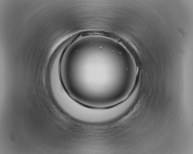 X0000113601069200909181347