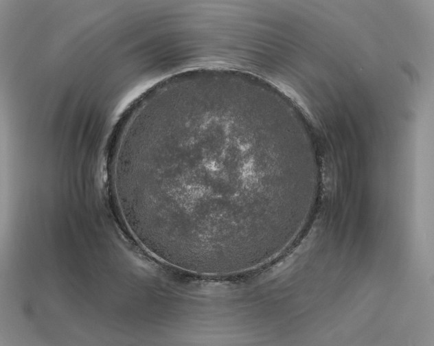 X0000113601070200909181347