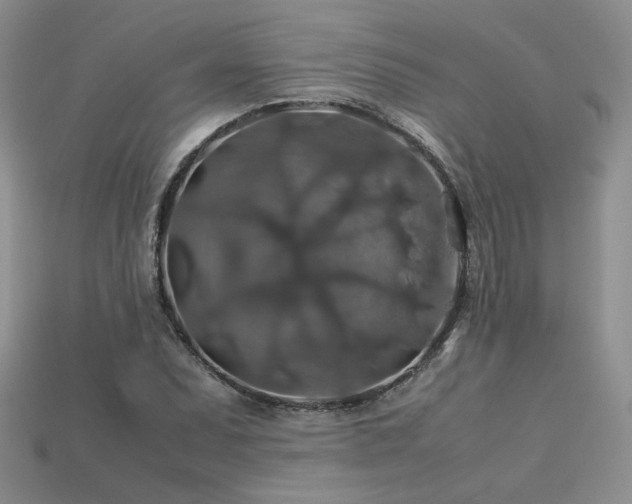 X0000113601071200909181347