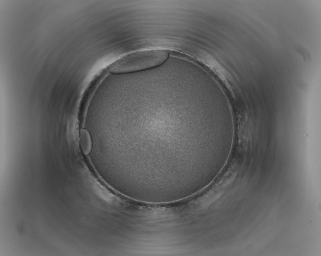 X0000113601072200909181347