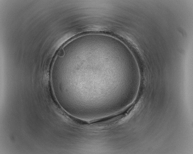 X0000113601073200909181347