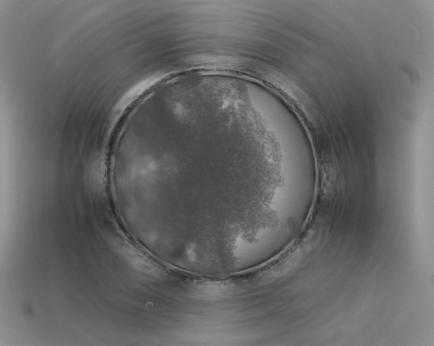 X0000113601074200909181347