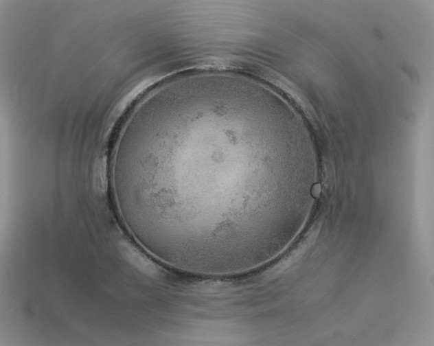 X0000113601075200909181347