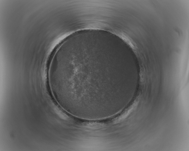 X0000113601077200909181347