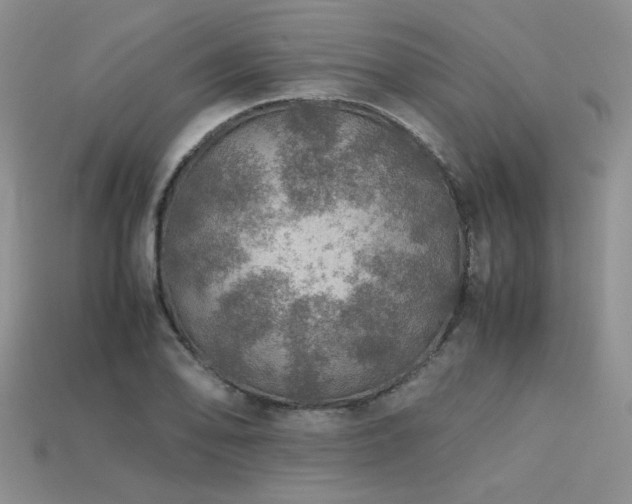 X0000113601078200909181347