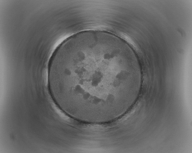 X0000113601079200909181347