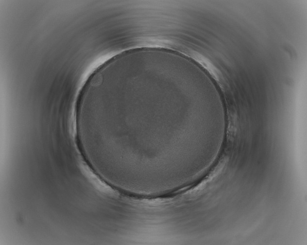 X0000113601080200909181347