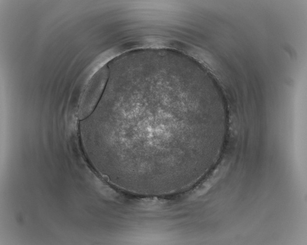 X0000113601081200909181347