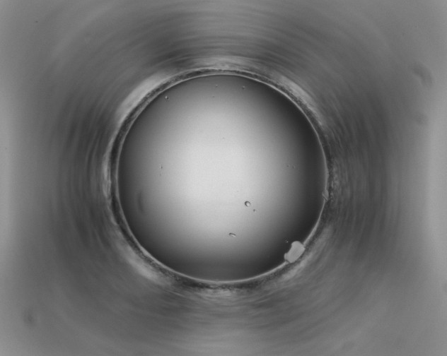 X0000113601082200909181347