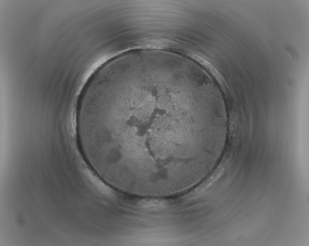 X0000113601083200909181347